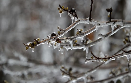 Freeze Warnings Issued for Eastern Inyo, Northeastern Clark, and Southern/Central Mohave Counties
