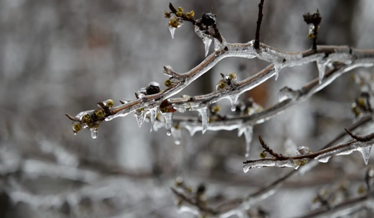 Freeze Warnings Issued for Eastern Inyo, Northeastern Clark, and Southern/Central Mohave Counties