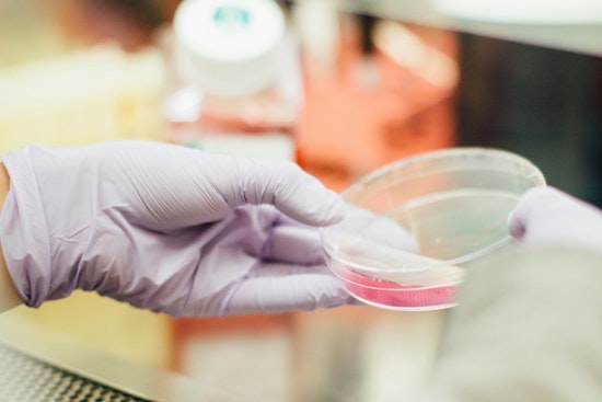 Fulton Market Upstart Bets CRISPR 'Cellgorithm' Can Slash Stem Cell Timelines