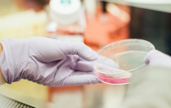 Fulton Market Upstart Bets CRISPR 'Cellgorithm' Can Slash Stem Cell Timelines