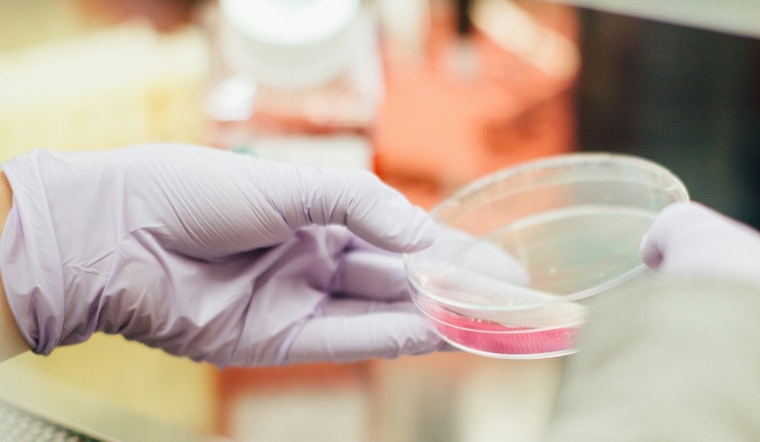 Fulton Market Upstart Bets CRISPR 'Cellgorithm' Can Slash Stem Cell Timelines