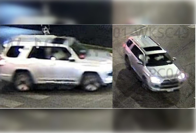 Gage Park Crosswalk Horror As City Puts $1K Bounty On Hit-And-Run Driver