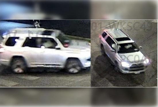 Gage Park Crosswalk Horror As City Puts $1K Bounty On Hit-And-Run Driver