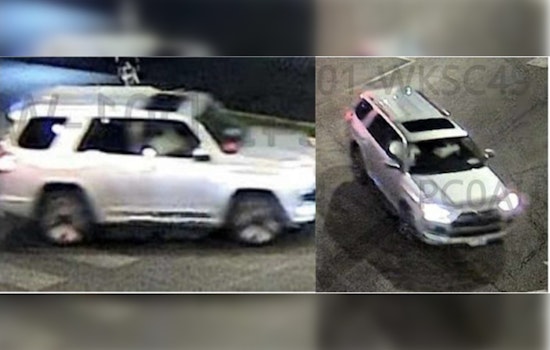Gage Park Crosswalk Horror As City Puts $1K Bounty On Hit-And-Run Driver