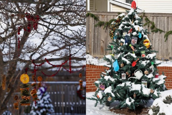 Gantz Park Transforms Into Enchanting Winter Wildlife Wonderland for Grove City's Holiday Season