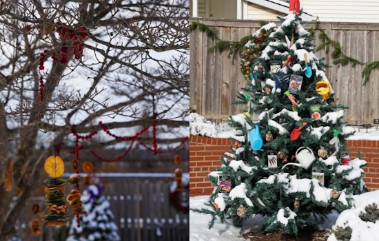Gantz Park Transforms Into Enchanting Winter Wildlife Wonderland for Grove City's Holiday Season