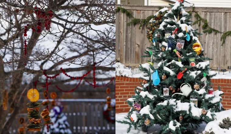 Gantz Park Transforms Into Enchanting Winter Wildlife Wonderland for Grove City's Holiday Season