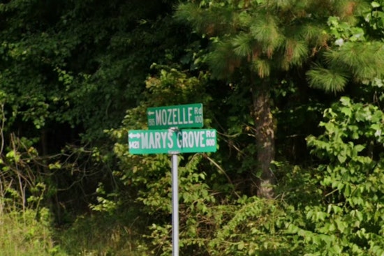 Gaston County Faces 18th Rabies Case After Unvaccinated Kitten Euthanized Due to Skunk Encounter