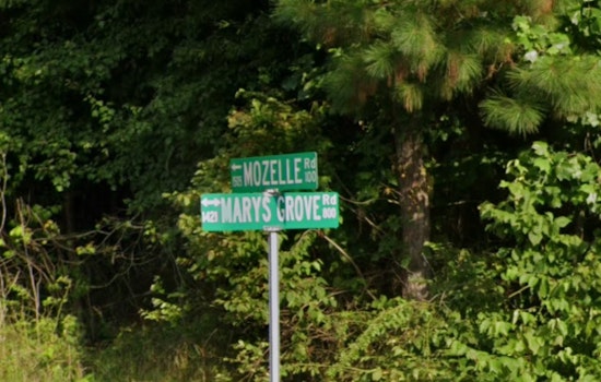 Gaston County Faces 18th Rabies Case After Unvaccinated Kitten Euthanized Due to Skunk Encounter