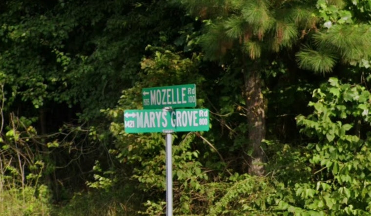 Gaston County Faces 18th Rabies Case After Unvaccinated Kitten Euthanized Due to Skunk Encounter