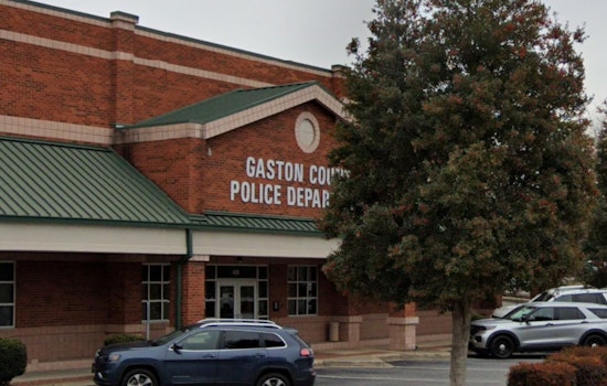 Gaston County Police Advise Pet Vaccinations After Rabies Case Involving Cherryville Kitten