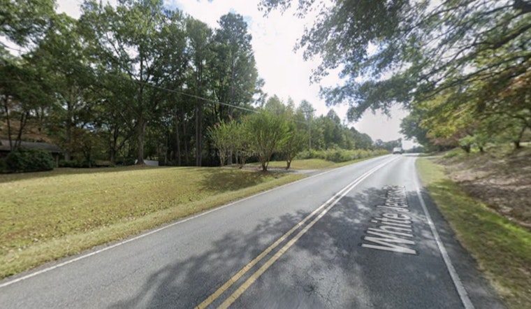 Gaston County Sees 20th Rabies Case of 2025 Amid Concerns for Pet Safety in Bessemer City