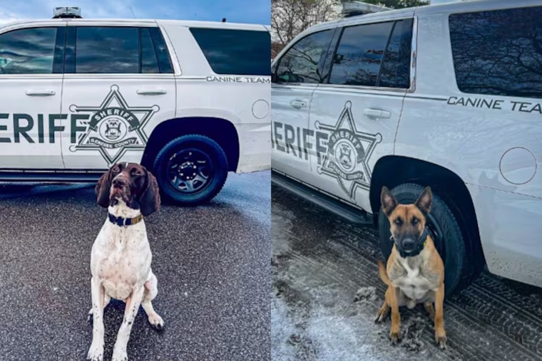 Genesee County Sheriff K-9s Bailey and Kolt to Receive Donated Protective Vests from Vested Interest in K9s Inc.