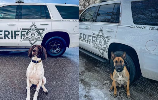 Genesee County Sheriff K-9s Bailey and Kolt to Receive Donated Protective Vests from Vested Interest in K9s Inc.