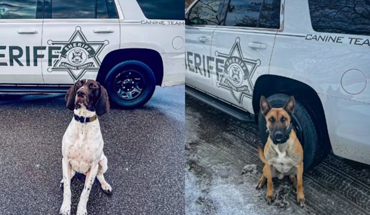 Genesee County Sheriff K-9s Bailey and Kolt to Receive Donated Protective Vests from Vested Interest in K9s Inc.