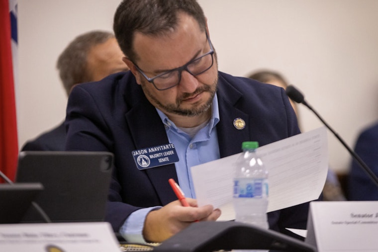 Georgia's Economy Shows Resilience Amid Federal Challenges, Says State Senator Summers in Christmas Reflection