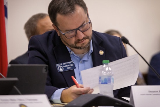 Georgia's Economy Shows Resilience Amid Federal Challenges, Says State Senator Summers in Christmas Reflection