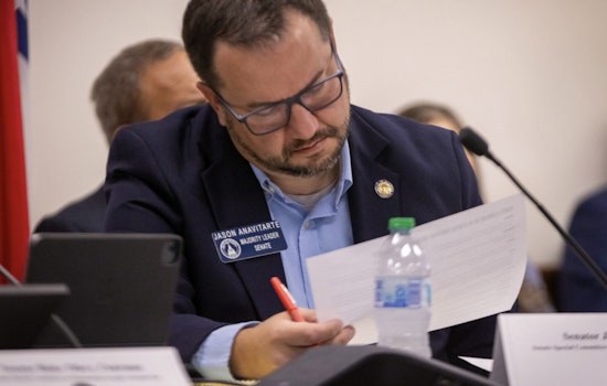 Georgia's Economy Shows Resilience Amid Federal Challenges, Says State Senator Summers in Christmas Reflection