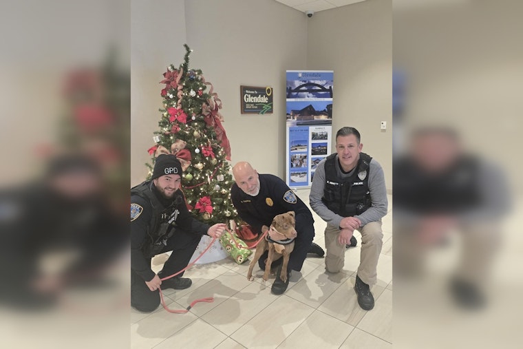 Glendale Police Department Charmed by Visiting Terrier Pixie, Promotes Her Adoption