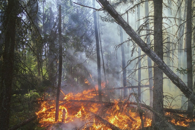 Governor Abbott Activates Additional Resources in Texas Amid Wildfire Threat
