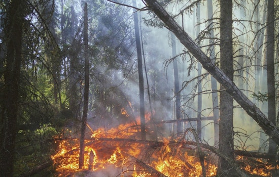 Governor Abbott Activates Additional Resources in Texas Amid Wildfire Threat