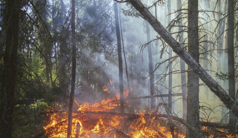 Governor Abbott Activates Additional Resources in Texas Amid Wildfire Threat