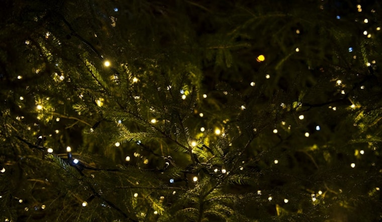 Grand Prairie Offers Eco-Friendly Christmas Tree Recycling Program: Free Mulch for Residents
