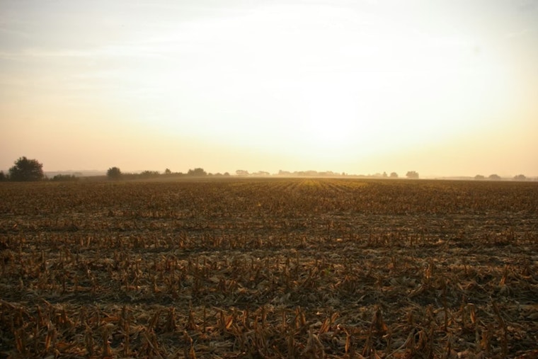 Grandview Ranchers Say Toxic Sludge Turned Pastures Into Poison Zones
