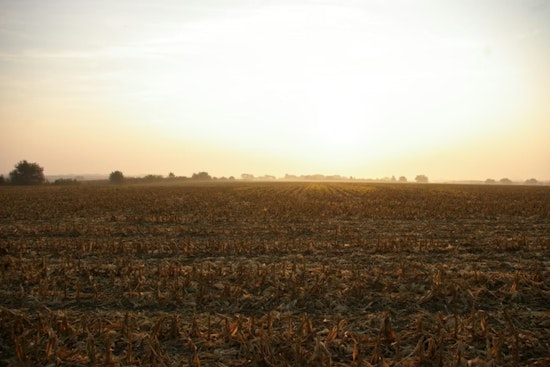 Grandview Ranchers Say Toxic Sludge Turned Pastures Into Poison Zones