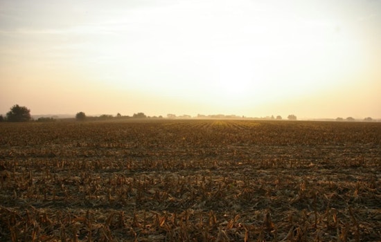 Grandview Ranchers Say Toxic Sludge Turned Pastures Into Poison Zones