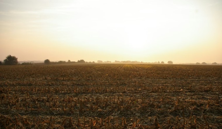 Grandview Ranchers Say Toxic Sludge Turned Pastures Into Poison Zones