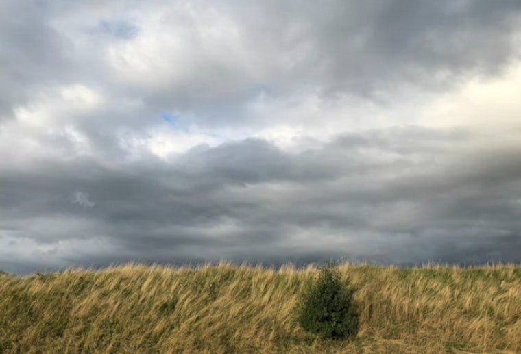 Gray Skies and Cooler Temps Today, Austin Awaits Sunny Resurgence Later in the Week
