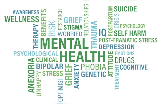 Hale Kipa Snags Big Youth Mental Health Grant For Hawaiʻi Youth