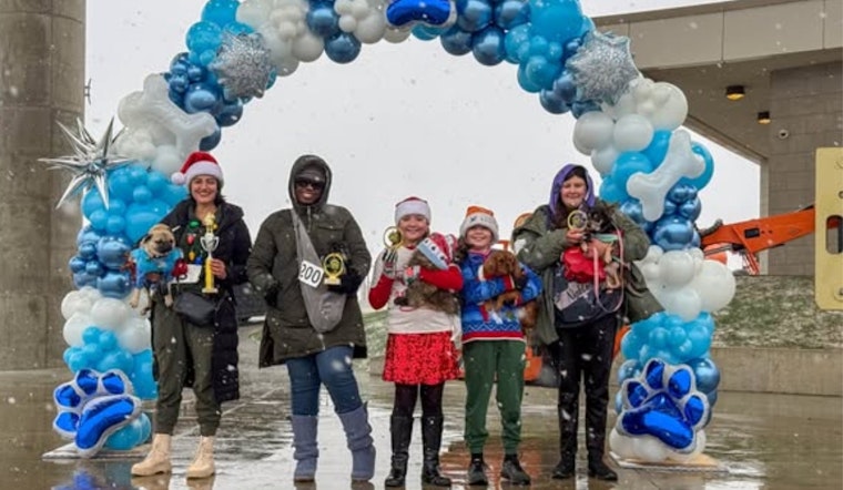 Hamilton's Santa Paws Pet Pageant Brings Festive Cheer Despite Winter Chill