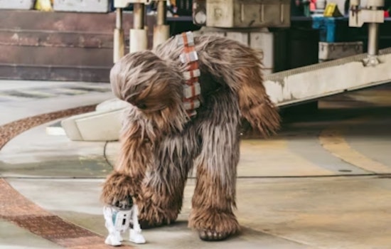 Han Shoots First Again as 1977 Star Wars Blasts Back Onto San Francisco Screens