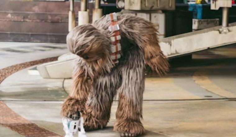 Han Shoots First Again as 1977 Star Wars Blasts Back Onto San Francisco Screens
