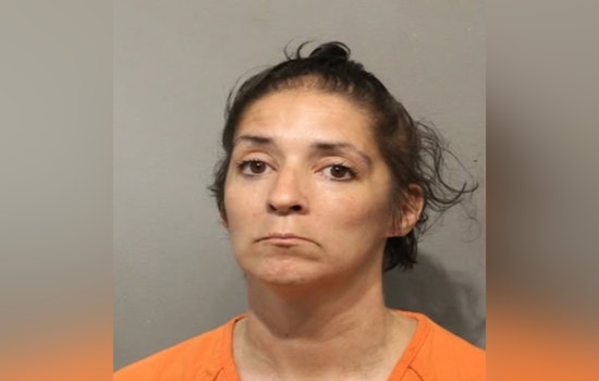 Harris County Deputies Arrest Woman with Felony Warrant for Drug Possession in Houston