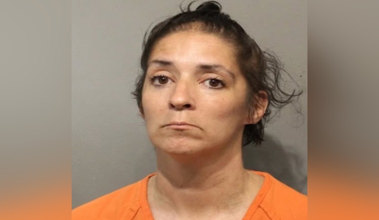 Harris County Deputies Arrest Woman with Felony Warrant for Drug Possession in Houston