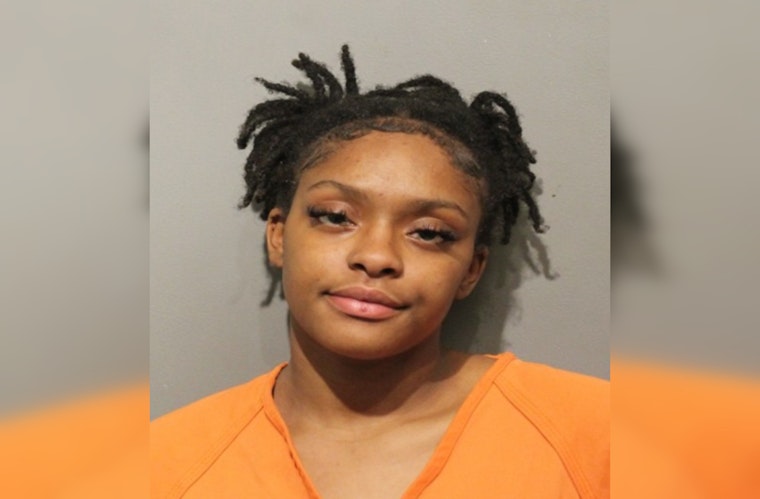 Harris County Driver Charged with DWI After Traffic Stop on Lee Road