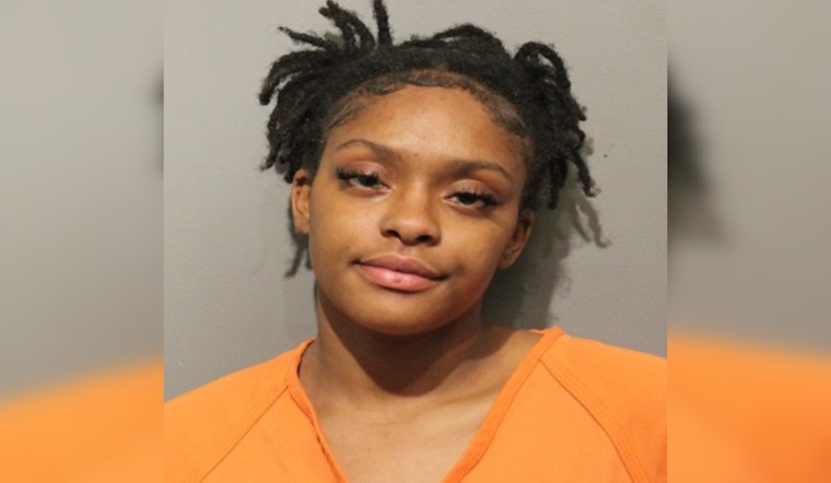 Harris County Driver Charged with DWI After Traffic Stop on Lee Road