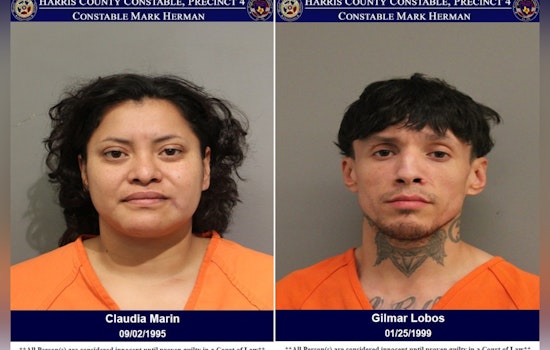 Harris County Duo Arrested for Alleged Mail Theft Operation, Suspect Gilmar Lobos Faces Additional Charges