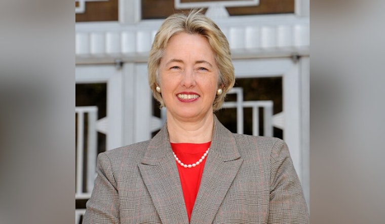 Harris County Judge Race, Hidalgo Criticizes Parker's Candidacy