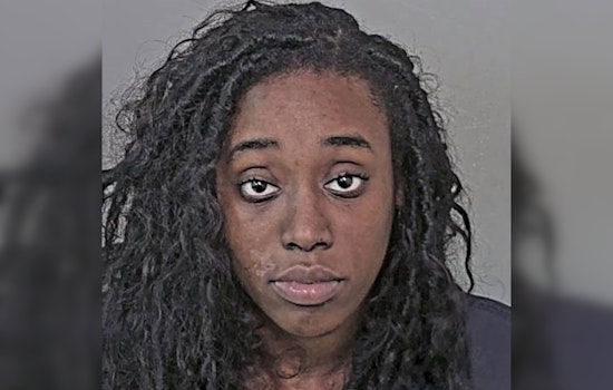 Harris County Tragedy as Woman Charged in Fatal Wrong-Way Crash That Killed 3, Including Child, Bond Set at Over $1 Million