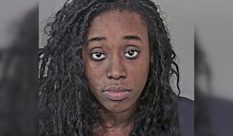 Harris County Tragedy as Woman Charged in Fatal Wrong-Way Crash That Killed 3, Including Child, Bond Set at Over $1 Million