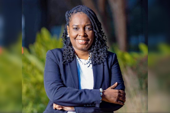 Harris County Treasurer Hit With Car Burglary Charge After December 27 Incident