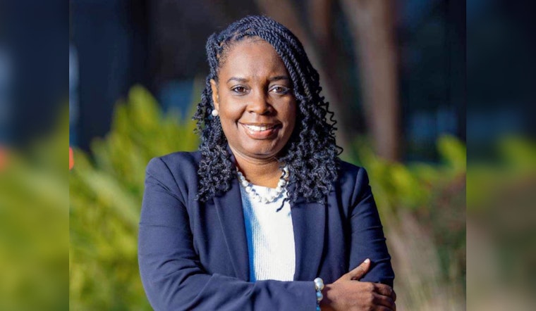 Harris County Treasurer Hit With Car Burglary Charge After December 27 Incident