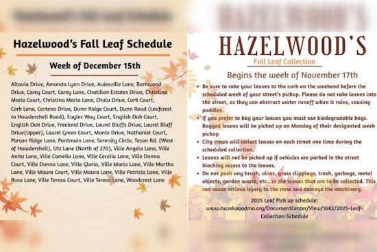 Hazelwood City Crews Continue Week 5 of Leaf Collection with Residents Asked to Follow Guidelines