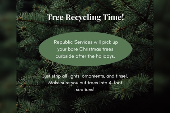 Hazelwood Launches Christmas Tree Recycling Program for Sustainable Post-Holiday Cleanup
