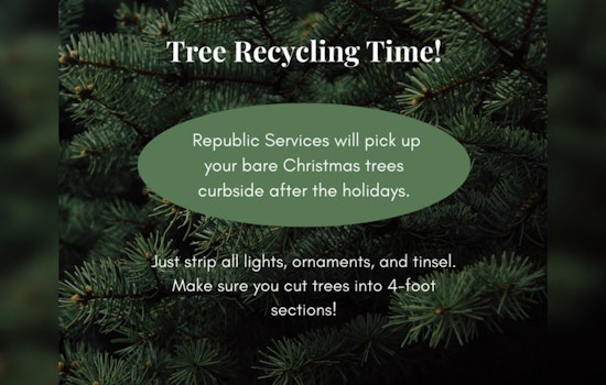 Hazelwood Launches Christmas Tree Recycling Program for Sustainable Post-Holiday Cleanup