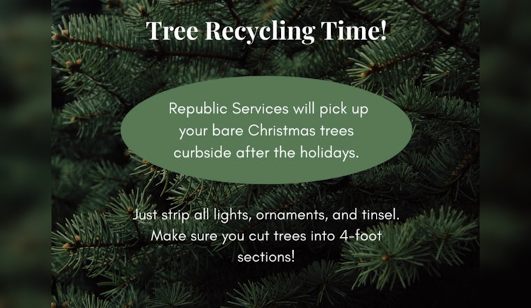 Hazelwood Launches Christmas Tree Recycling Program for Sustainable Post-Holiday Cleanup